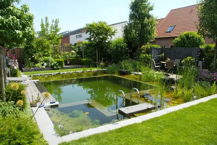 Complete Guide To Natural Swimming Pools - Luxury Pools + Outdoor Living